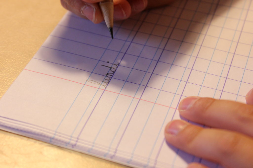 Cahier Pauline HUE Psychomotricité Merville Grenade Aussonne